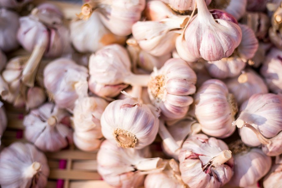 Native Garlic