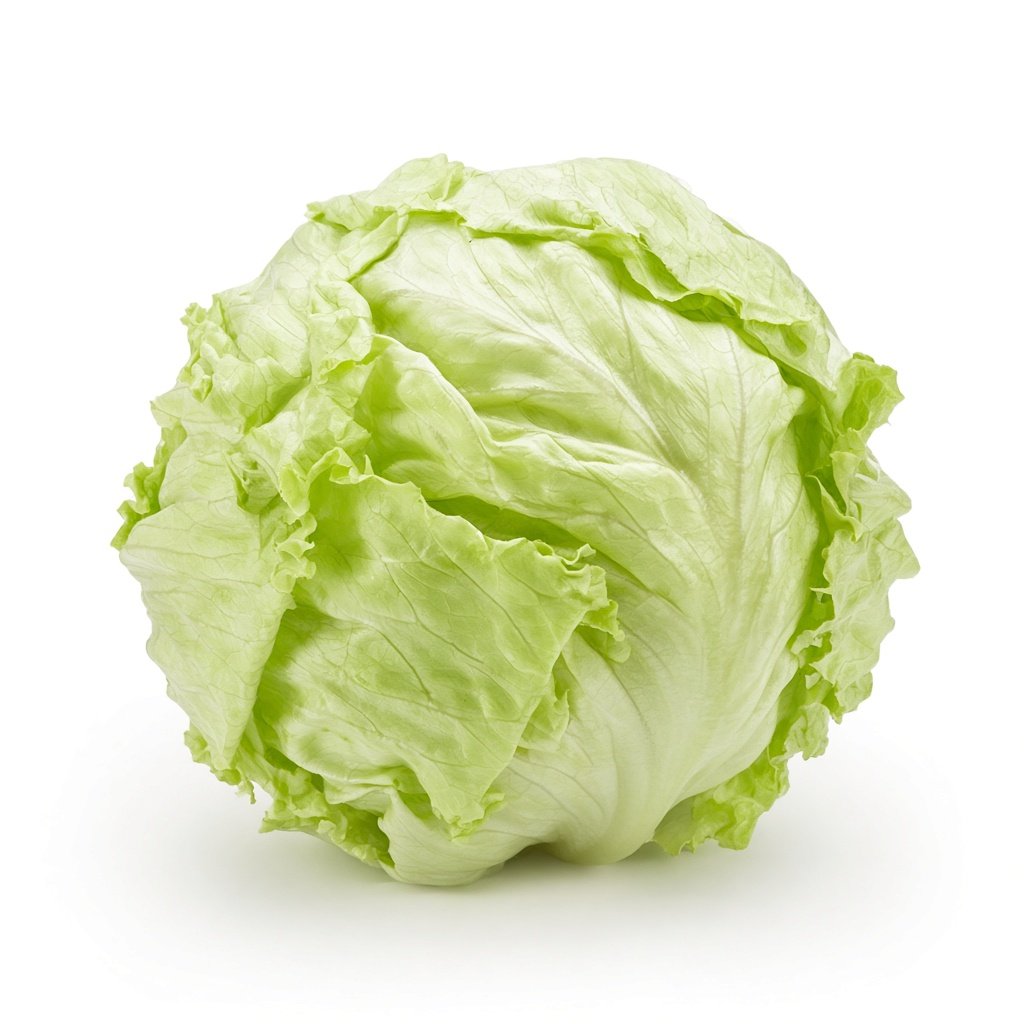 Fresh Lettuce (Crisphead)